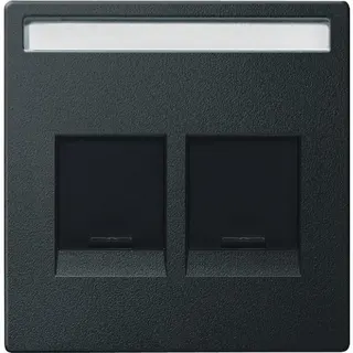 Merten Zentralplatte MEG4564-0414 2fach anthrazit