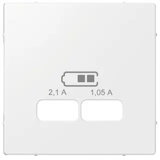 Merten Zentralplatte MEG4367-0319 USB-Ladestationeins. polarweiss glaenz.