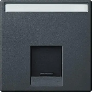Merten Zentralplatte MEG4573-0414 1fach anthrazit System M