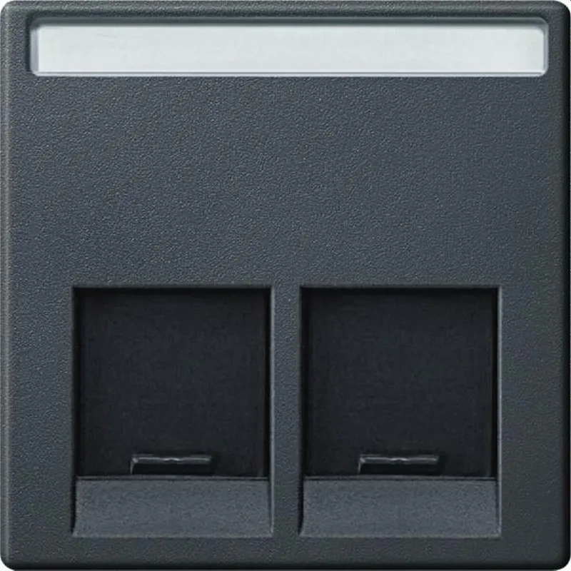 Merten Zentralplatte MEG4574-0414 2fach anthrazit System M