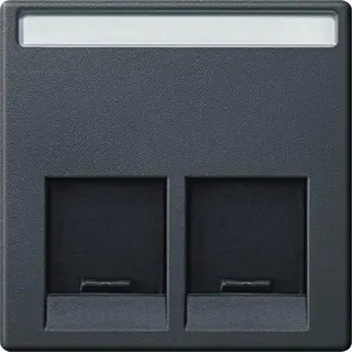Merten Zentralplatte MEG4574-0414 2fach anthrazit System M