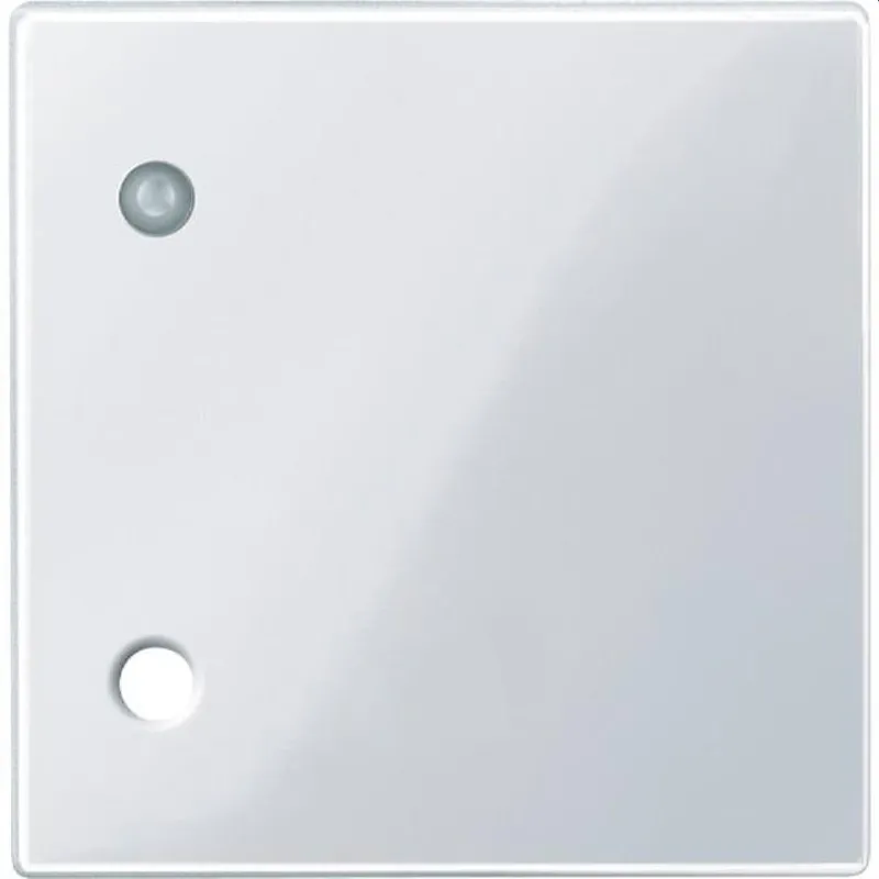 Merten Zentralplatte 450725 aktivweiss glaenzend System M