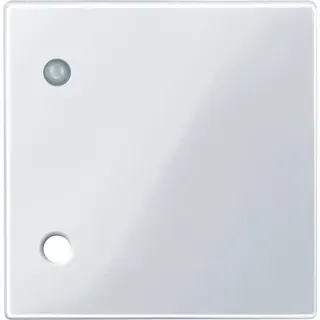 Merten Zentralplatte 450725 aktivweiss glaenzend System M
