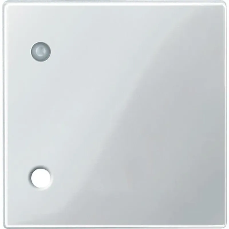 Merten Zentralplatte 450719 polarweiss glaenzend System M