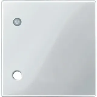 Merten Zentralplatte 450719 polarweiss glaenzend System M