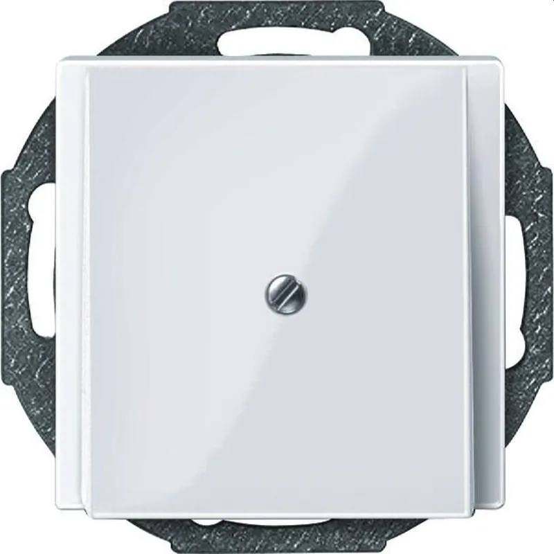 Merten Zentralplatte 296325 aktivweiss glaenzend System M