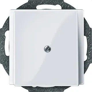 Merten Zentralplatte 296325 aktivweiss glaenzend System M