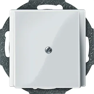 Merten Zentralplatte 296319 polarweiss glaenzend System M