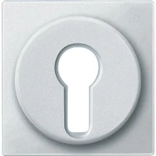Merten Zentralplatte 318119 polarweiss SYSTEM M