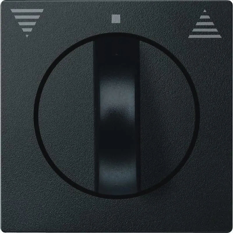 Merten Zentralplatte 569814 anthrazit System M