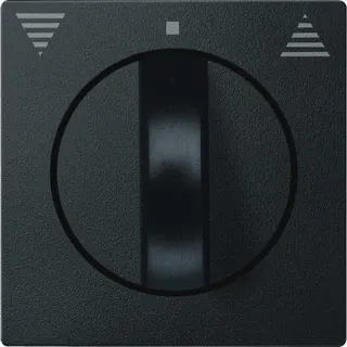 Merten Zentralplatte 569814 anthrazit System M