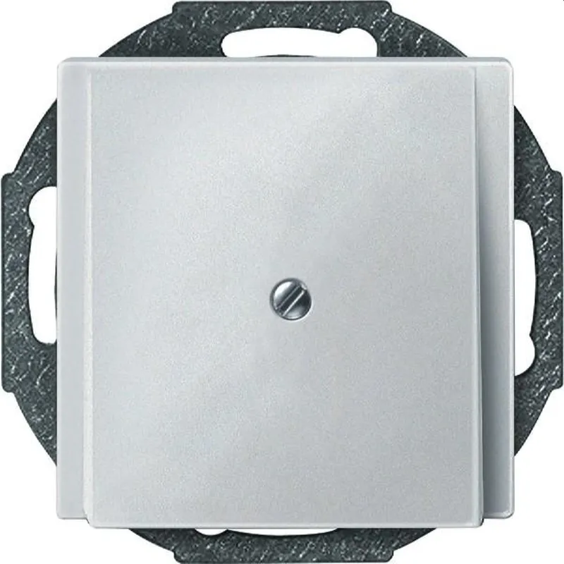 Merten Zentralplatte 295619 polarweiss SYSTEM M
