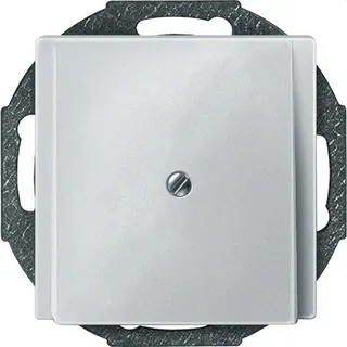 Merten Zentralplatte 295619 polarweiss SYSTEM M