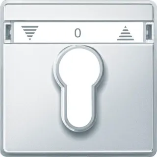 Merten Zentralplatte 348219 polarweiss AQUADESIGN