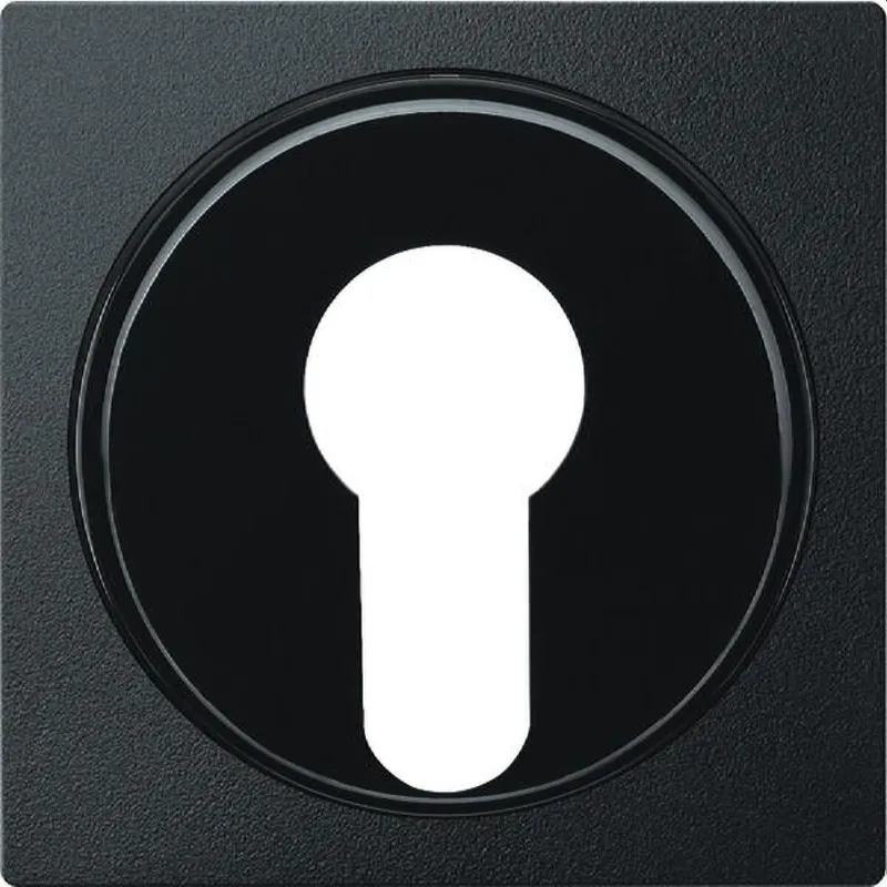 Merten Zentralplatte 318114 anthrazit System M