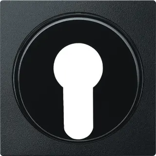 Merten Zentralplatte 318114 anthrazit System M