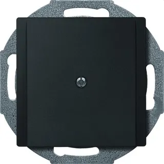 Merten Zentralplatte 295614 anthrazit System M