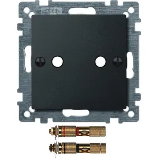 Merten Zentralplatte 469314 anthrazit System M