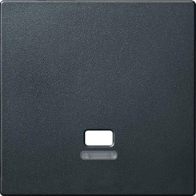 Merten Zentralplatte MEG3380-0414 anthrazit System M