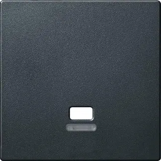 Merten Zentralplatte MEG3380-0414 anthrazit System M