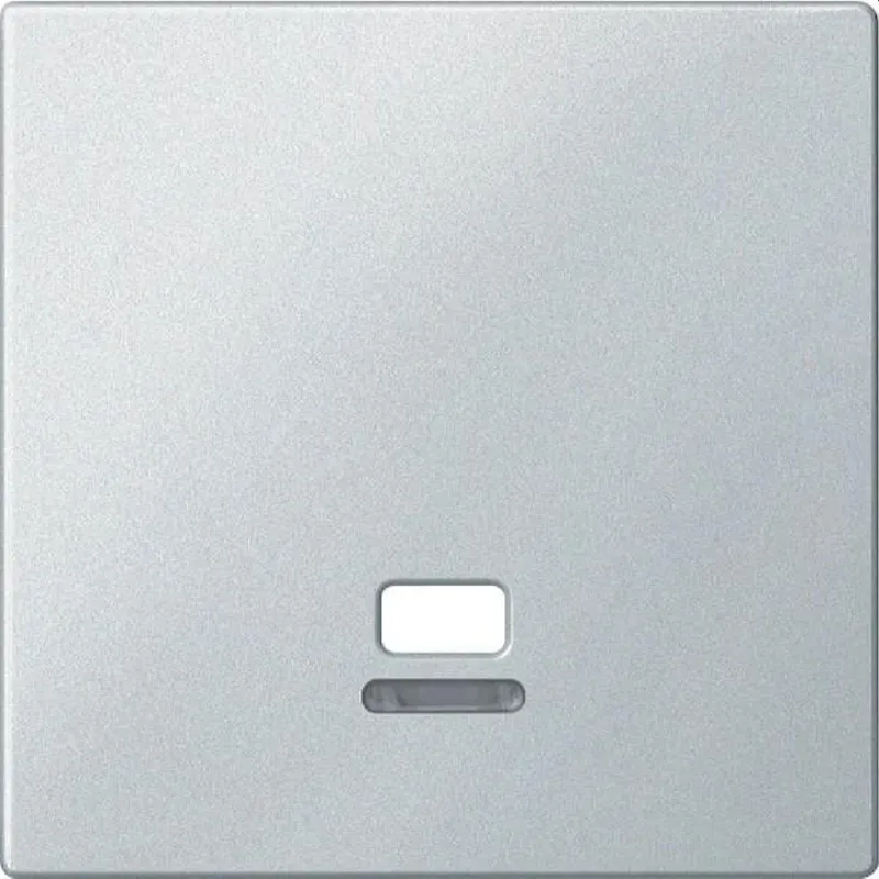 Merten Zentralplatte MEG3380-0419 polarweiss System M