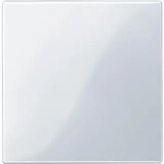 Merten Zentralplatte 450025 aktivweiss glaenzend System M
