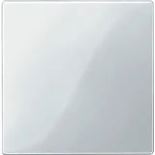 Merten Zentralplatte 450019 polarweiss glaenzend System M