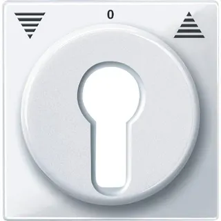 Merten Zentralplatte 319425 aktivweiss glaenzend System M