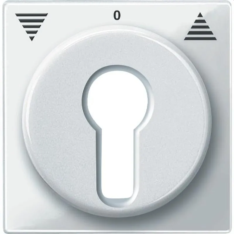 Merten Zentralplatte 319419 polarweiss glaenzend System M