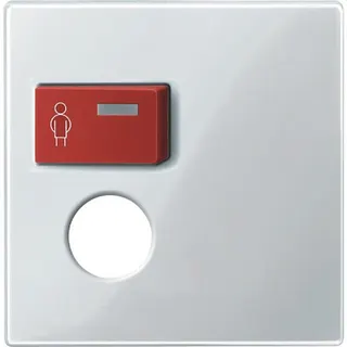 Merten Zentralplatte 450219 polarweiss glaenzend System M