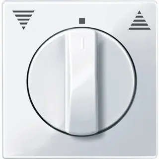 Merten Zentralplatte 567125 aktivweiss glaenzend System M