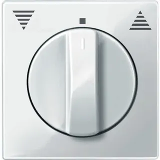Merten Zentralplatte 567119 polarweiss glaenzend System M