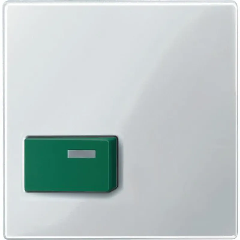 Merten Zentralplatte 451519 gruen/polarweiss glaenzend System