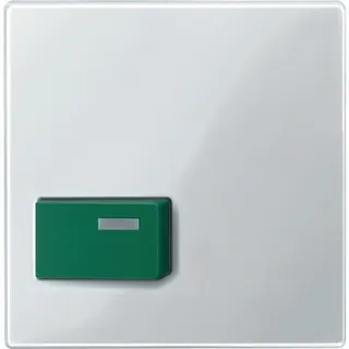 Merten Zentralplatte 451519 gruen/polarweiss glaenzend System