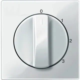 Merten Zentralplatte 567219 polarweiss glaenzend System M