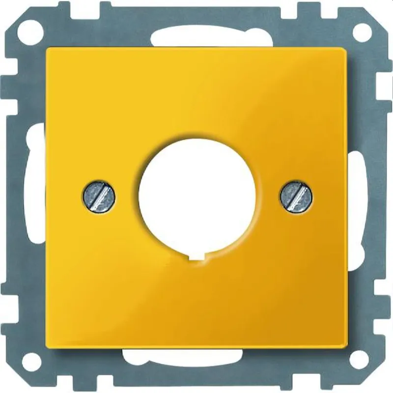 Merten Zentralplatte 393803 gelb System M