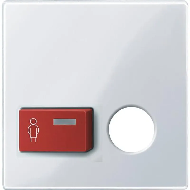 Merten Zentralplatte 450625 aktivweiss glaenzend System M