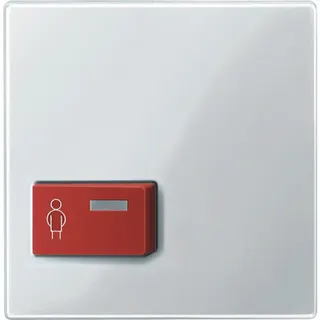 Merten Zentralplatte 450419 polarweiss glaenzend System M