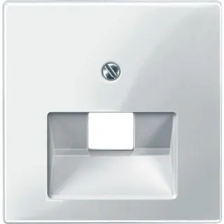 Merten Zentralplatte 296219 polarweiss glaenzend System M