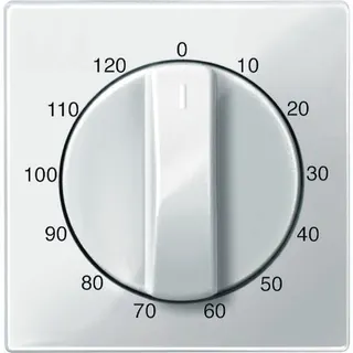 Merten Zentralplatte 567519 polarweiss glaenzend System M