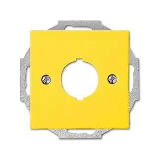 Busch-Jaeger 2533-914-15 22,5mm gelb Zentralscheibe