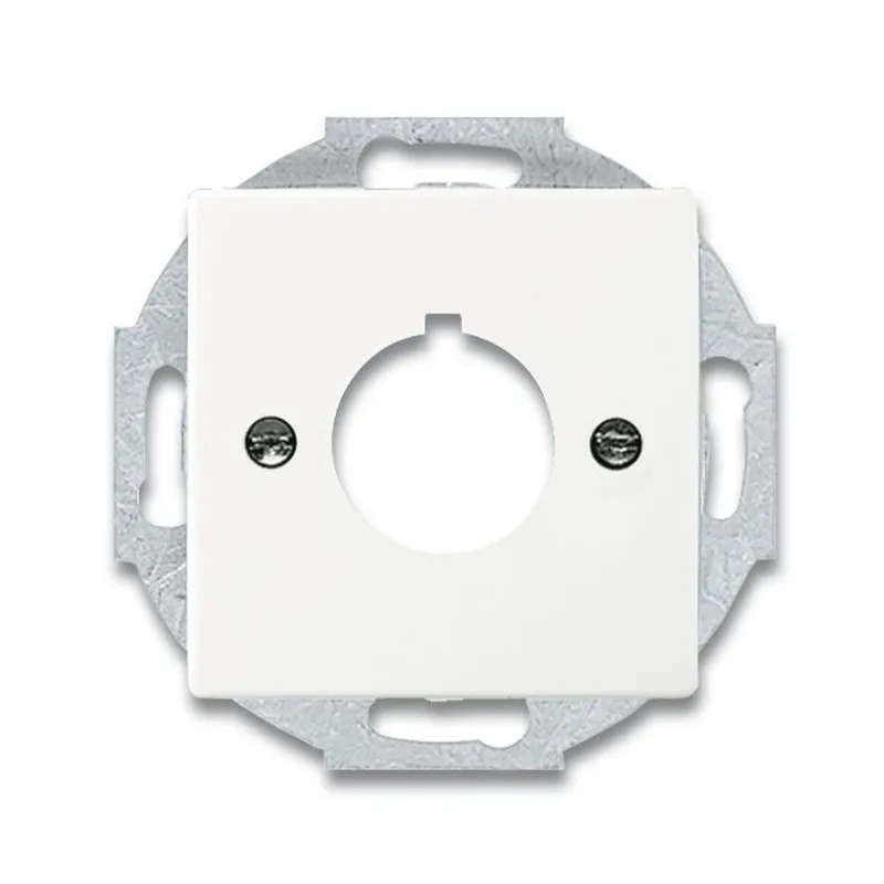 Busch-Jaeger 2533-884 Zentralscheibe