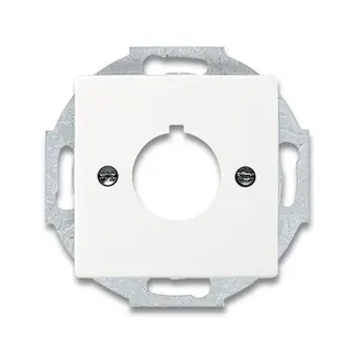 Busch-Jaeger 2533-884 Zentralscheibe