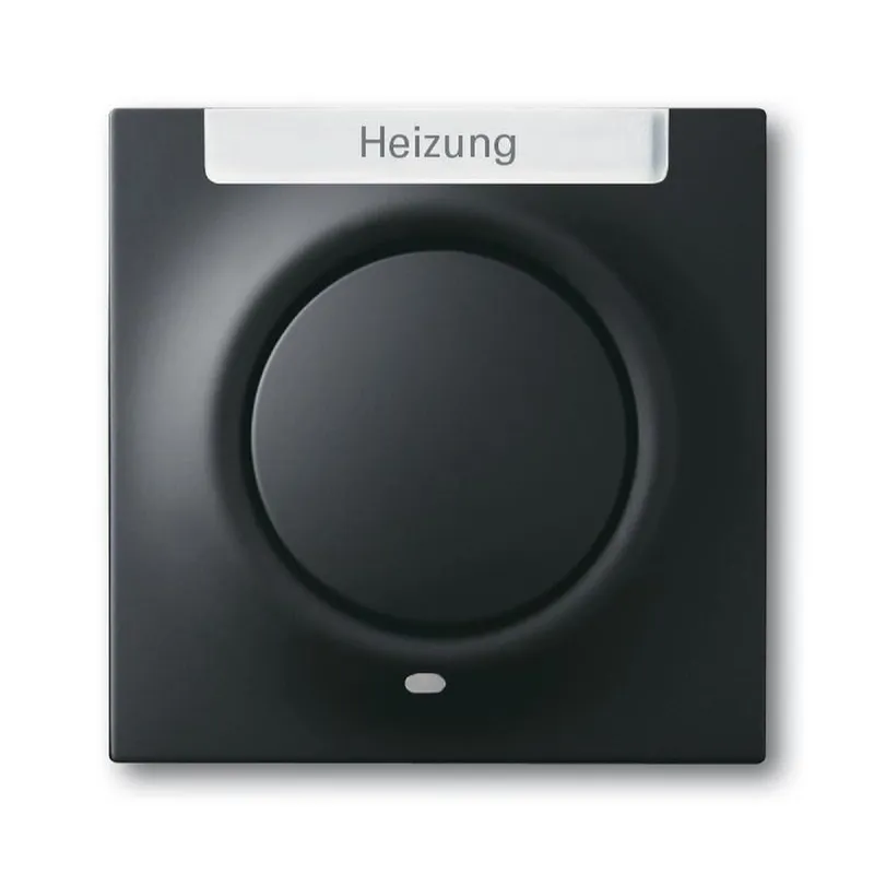 Busch-Jaeger 1789 H-775-101 Zentralscheibe