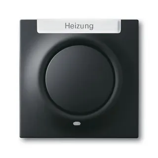 Busch-Jaeger 1789 H-775-101 Zentralscheibe