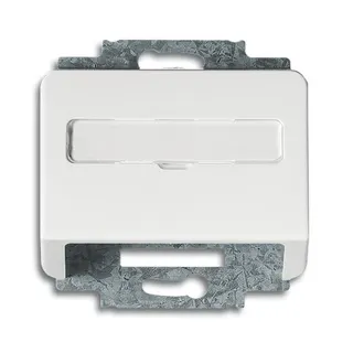 Busch-Jaeger 1758-24G alpha nea Zentralscheibe