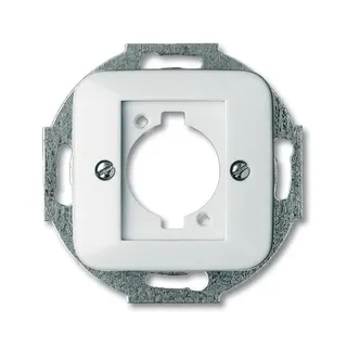 Busch-Jaeger 2553-214 Zentralscheibe