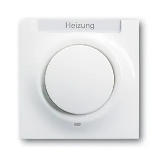 Busch-Jaeger 1789 H-74-101 impuls Zentralscheibe