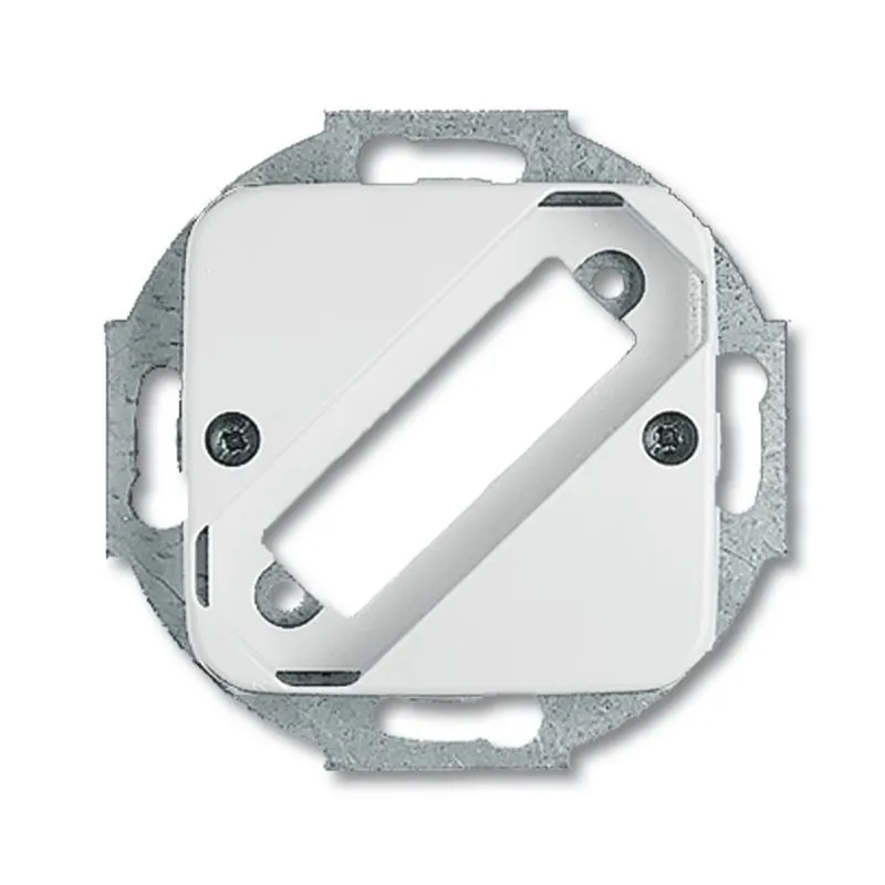 Busch-Jaeger 2549-214 Zentralscheibe
