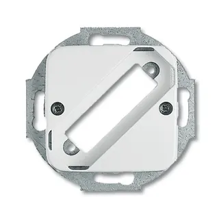 Busch-Jaeger 2549-214 Zentralscheibe